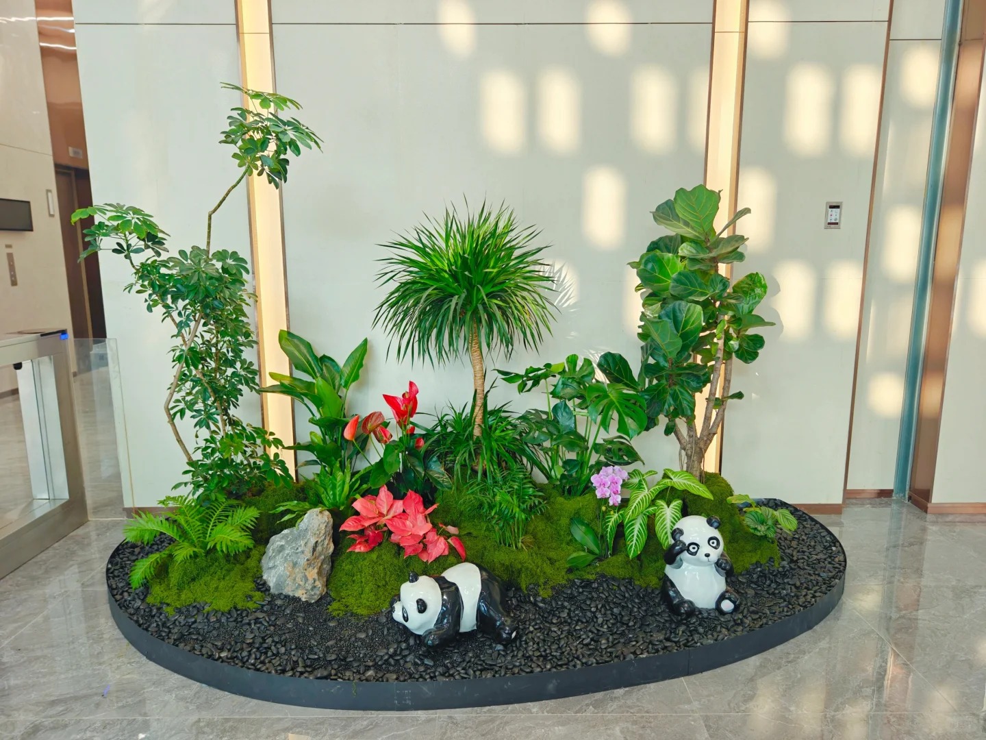 专业花木出租，为宁波添一抹绿意